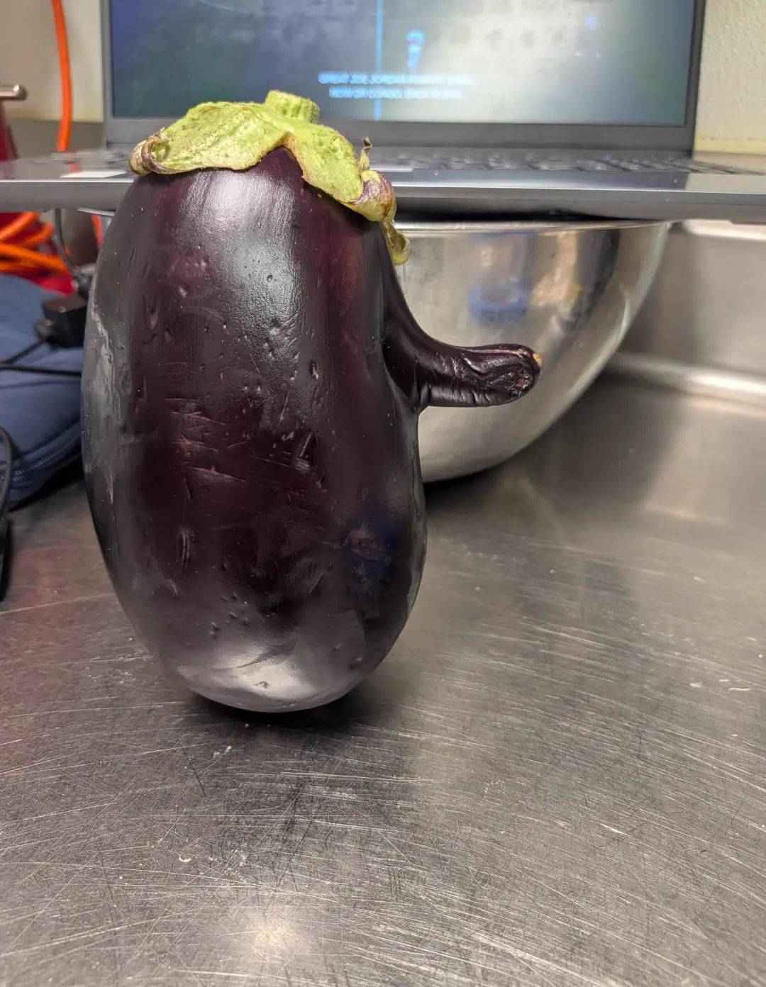 PUNCH: 9 Giants That Made Us Question Reality 17 Massive eggplant