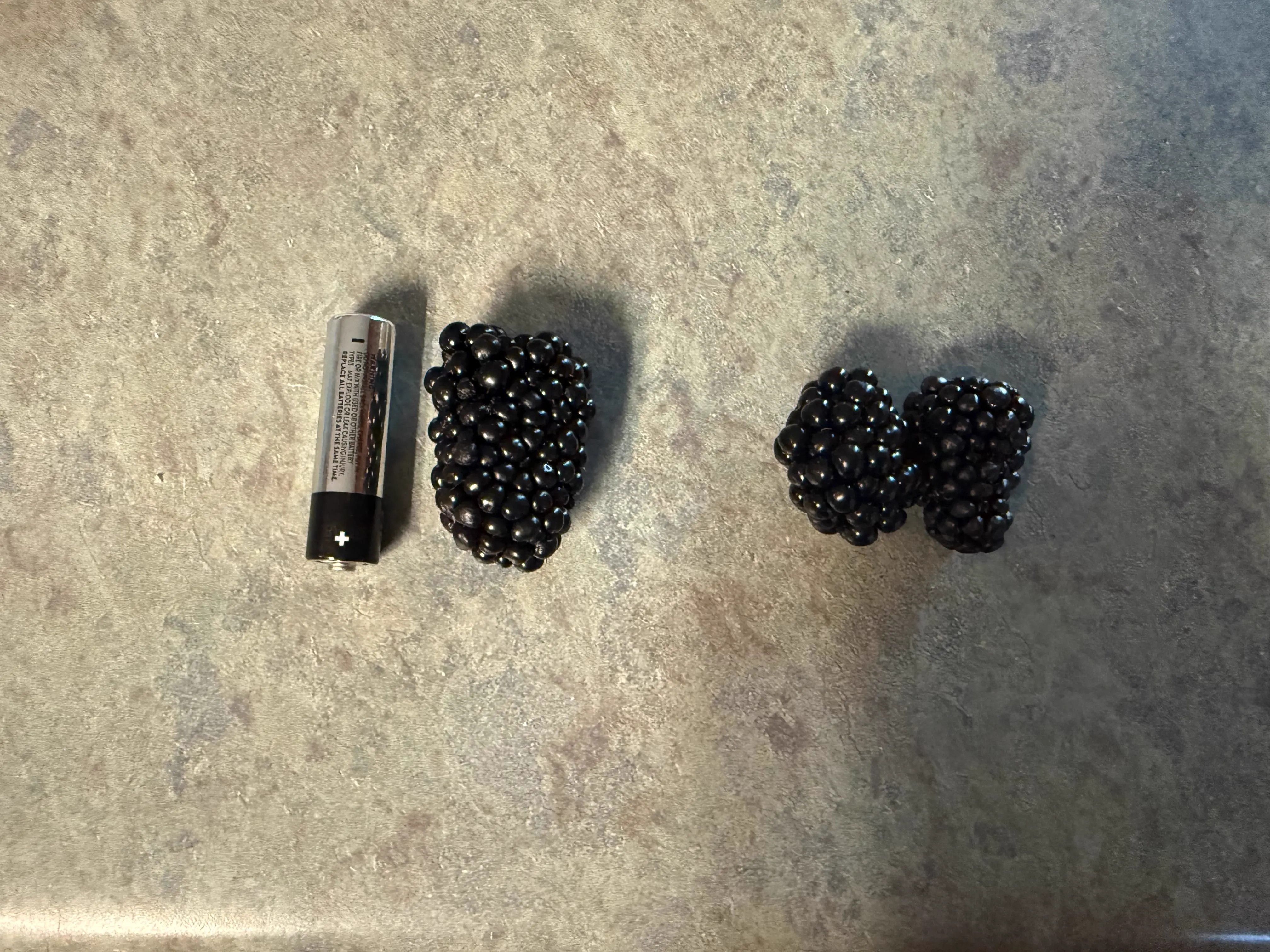 PUNCH: 8 Giants That Made Reality Feel Bugged đ« 15 A giant home-grown blackberry beside an AA battery