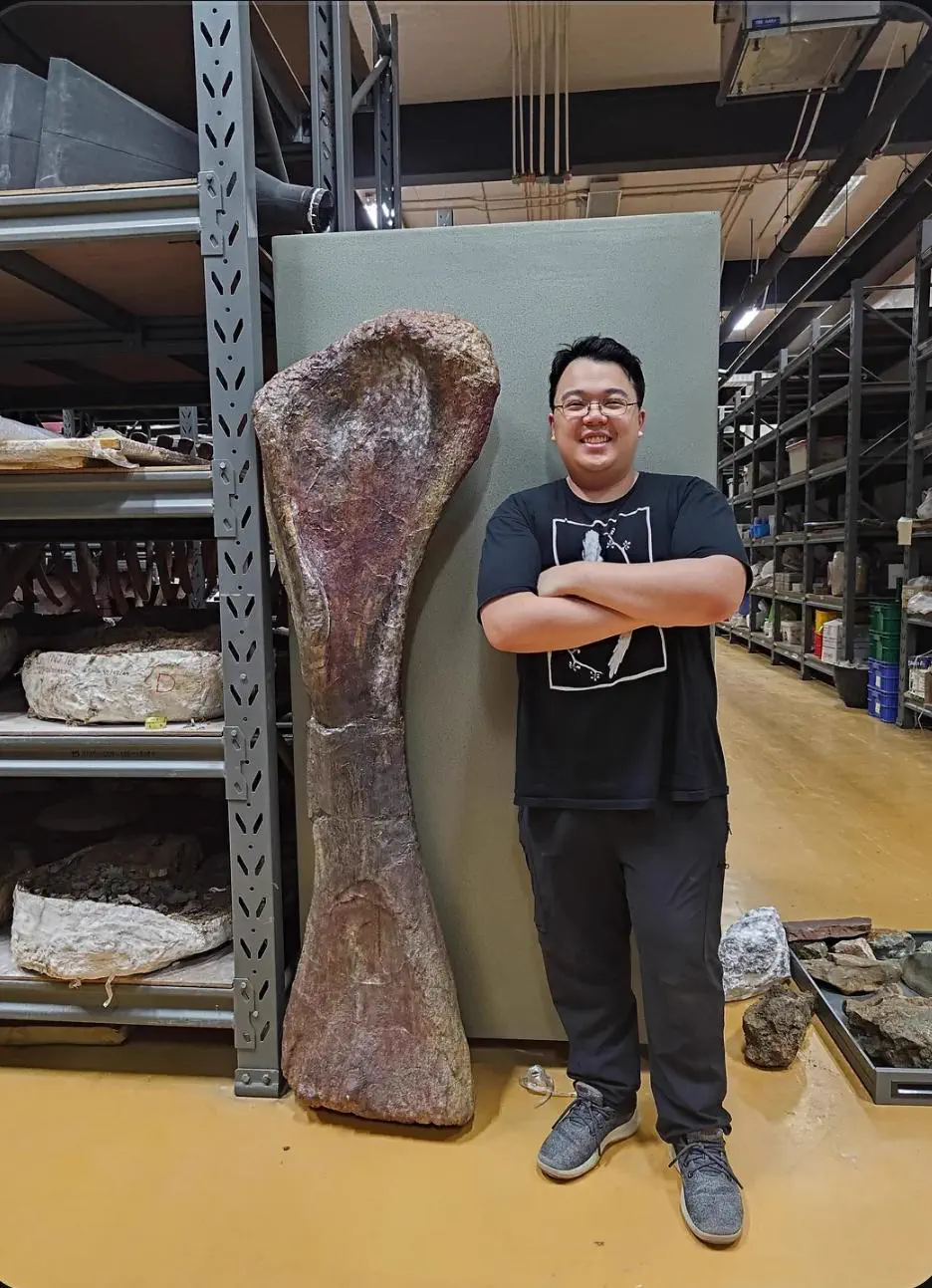 8 Things So Big They Glitched Reality Itself đ« 12 Enormous dinosaur bone from a 27-meter Nagatitan found by a Thai villager