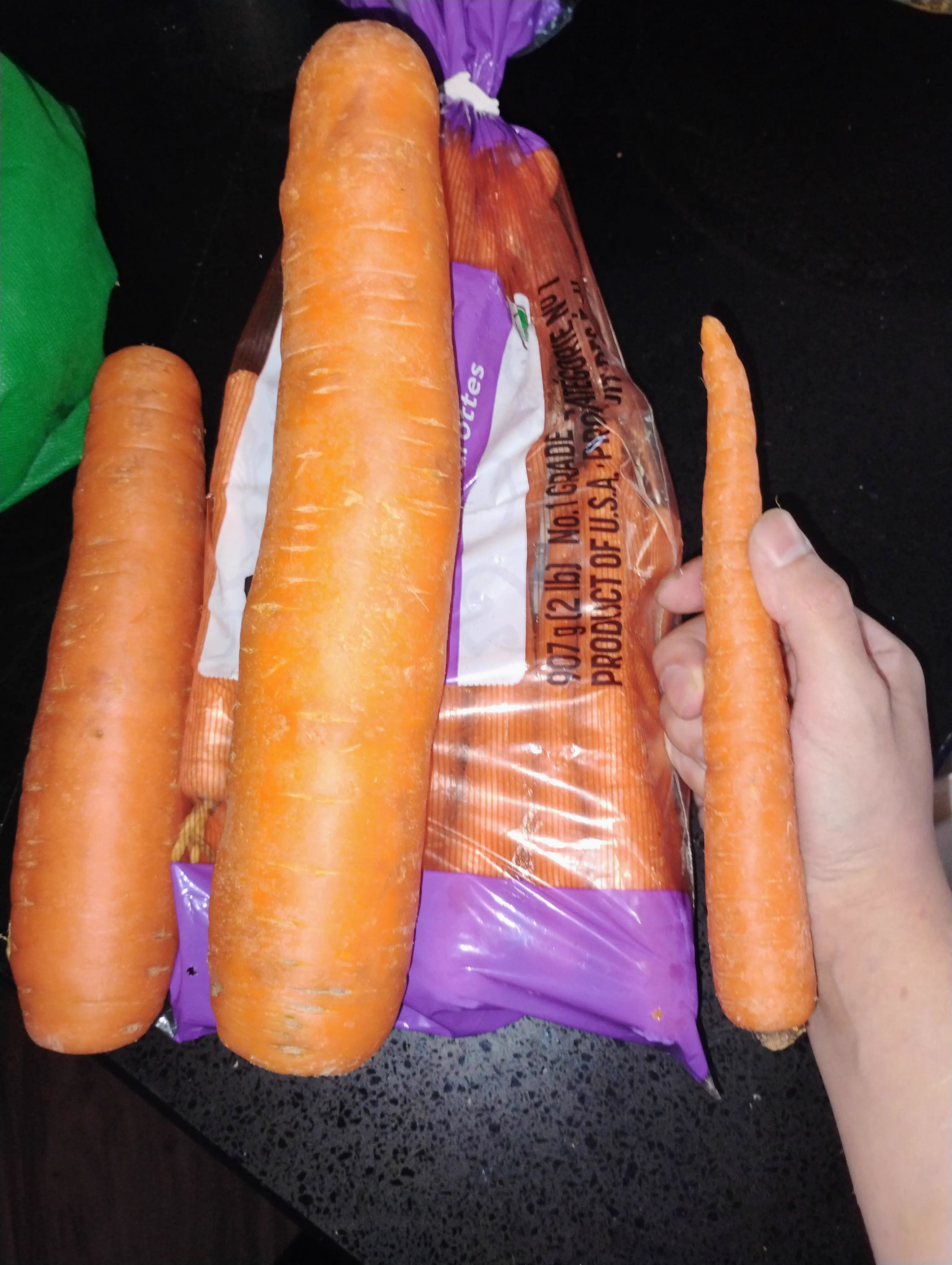 8 Oversized Finds That Left Us Speechless đ« 16 Massive oversized carrot held up for scale comparison