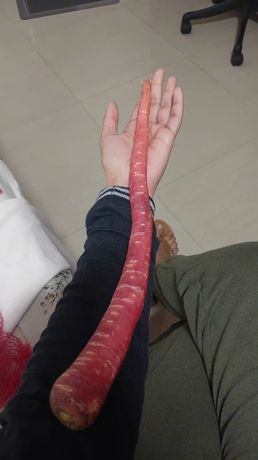 14Colossal Things That Had No Right Being That Big𫣠43 Absolute Units of a Carot