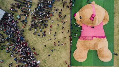 9 Everyday Objects That Went Full Beast Mode đ« 14 Absolute unit of a massive cuddly toy