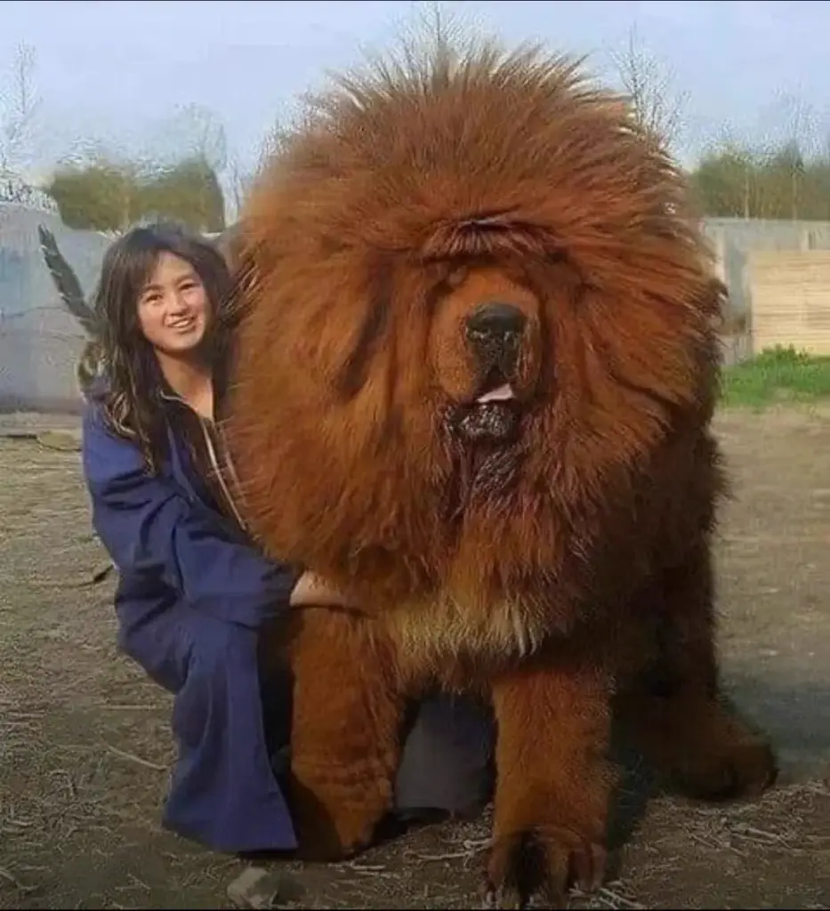 8 Giants That Made Us Physically Recoil 𫣠10 absolute units of a dog