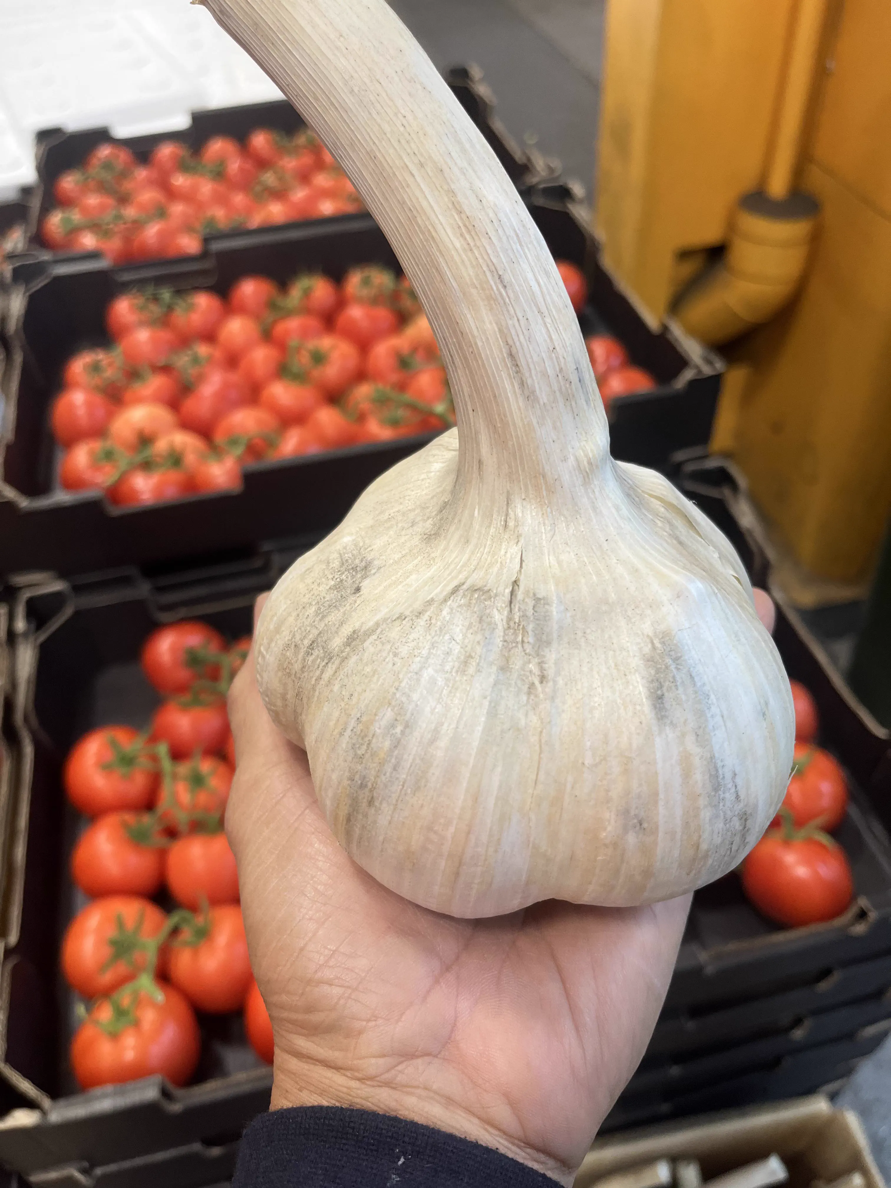 Wait Till You See These 8 Objects Built Different 𫣠16 Absolute Units of a garlic bulb
