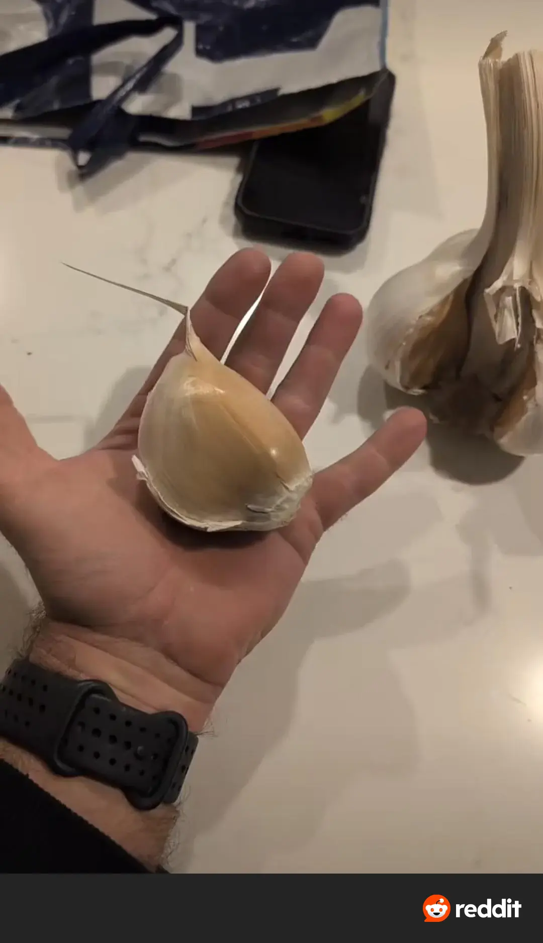 10 Oversized Things That Have Zero Chill đ« 13 Absolute Units of a garlic