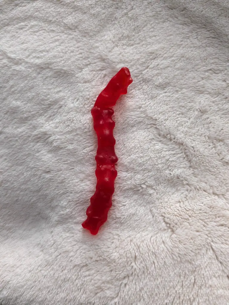 9 Everyday Objects That Went Full Beast Mode đ« 11 absolute units of a gummy bear