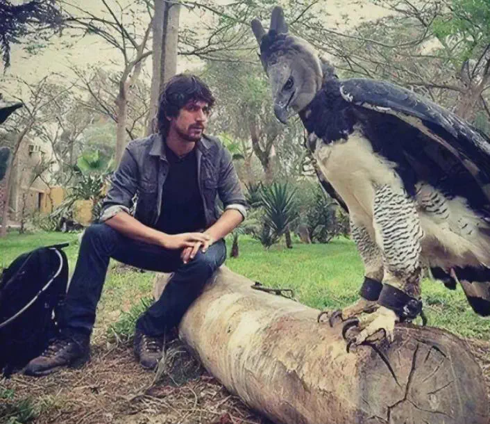 8 Things So Big They Glitched Reality Itself đ« 13 Massive harpy eagle showing off its enormous talons and intimidating size
