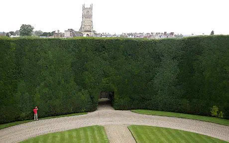 8 Giants That Made Us Physically Recoil 𫣠17 Absolute Units of a Hedge