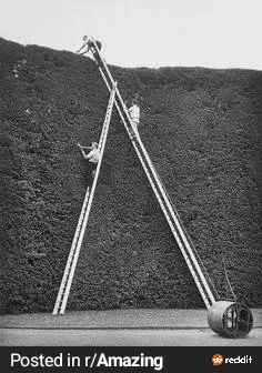 9 Giants That Made Us Lose All Composure đ« 13 Absolute Units of a hedge