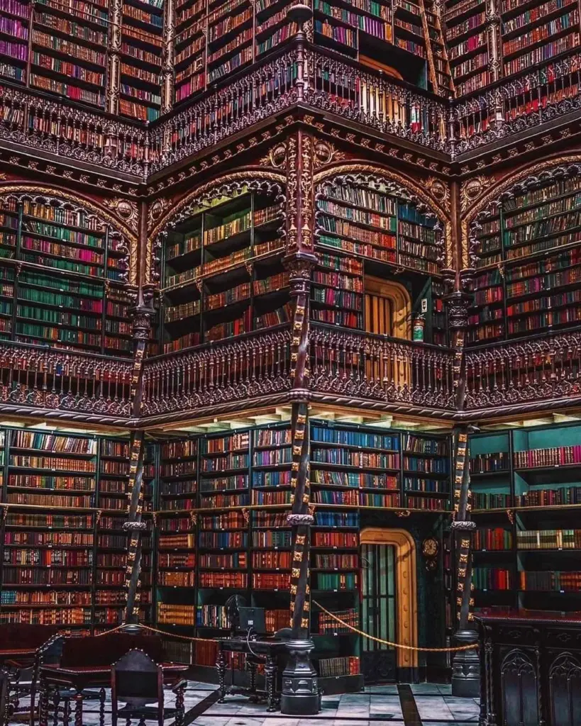 PUNCH: 9 Giants That Made Us Question Reality 11 absolute units of a library 1