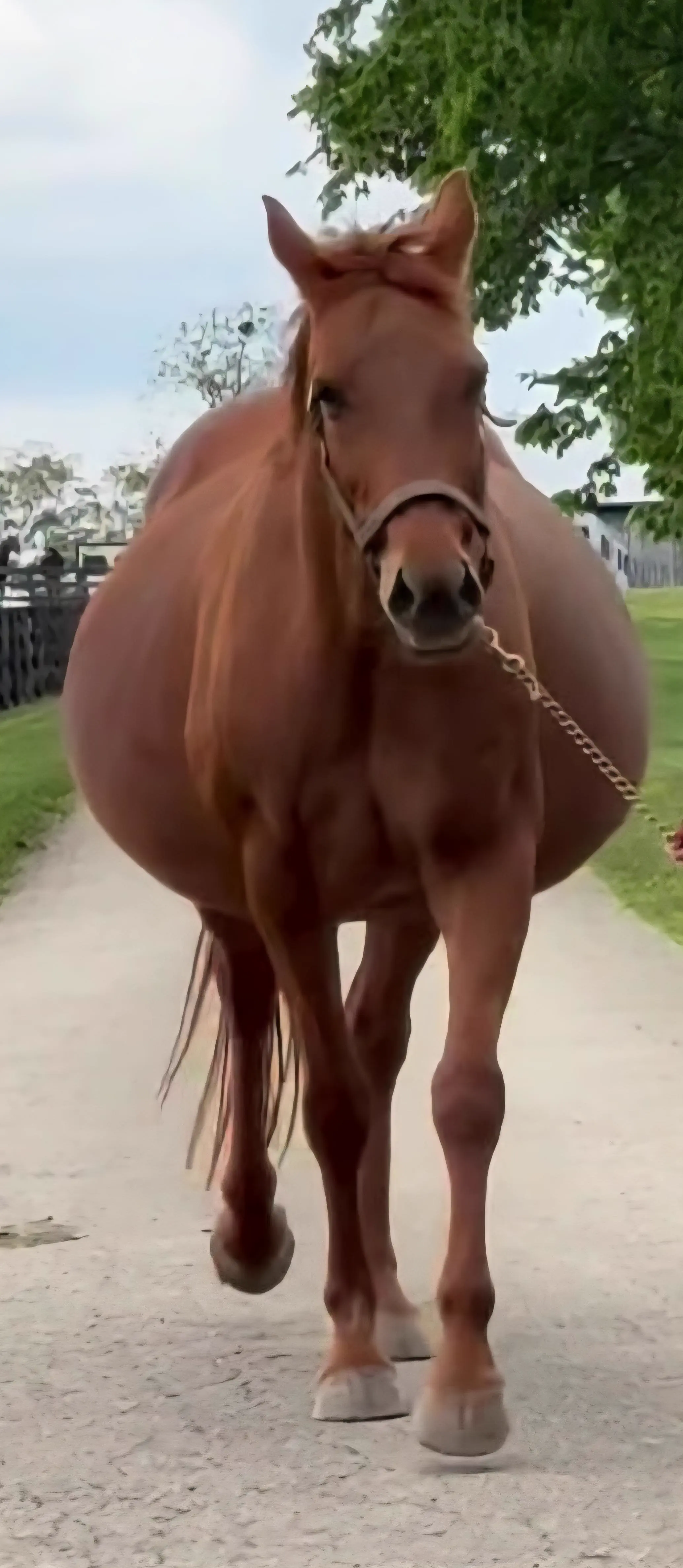 12 Oversized Things That Broke Our Brains This Week đ§ 16 Absolute Units of a mom