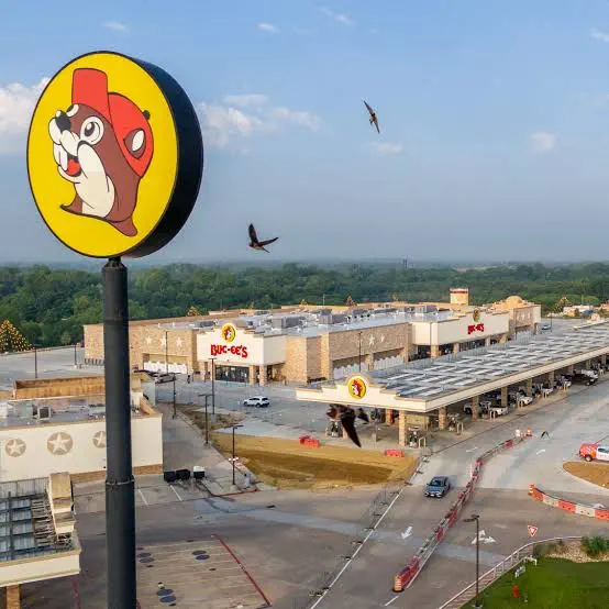 PUNCH: 13 Giants That Made Reality Hit Different đ« 28 Massive petrol station