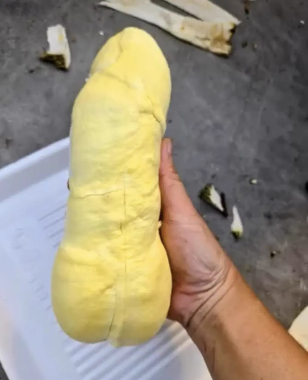 The 9 Chonkiest Finds That Wrecked Us This Week đ« 15 Massive pod of durian fruit