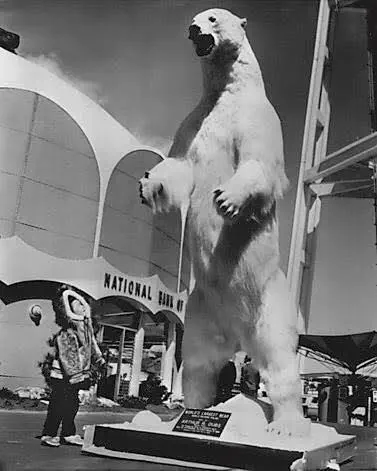 Why Are These 9 Giants So Absurdly Built?đ« 18 Massive polar bear showing its enormous size