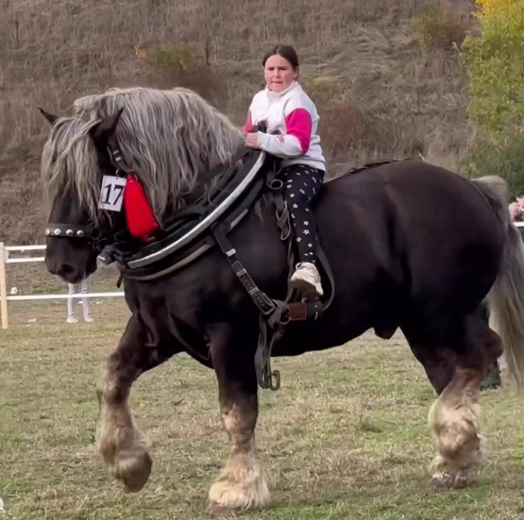 9 Oversized Things That Broke Our Brains Today đ§ 19 Oversized vehicle that is an absolute unit