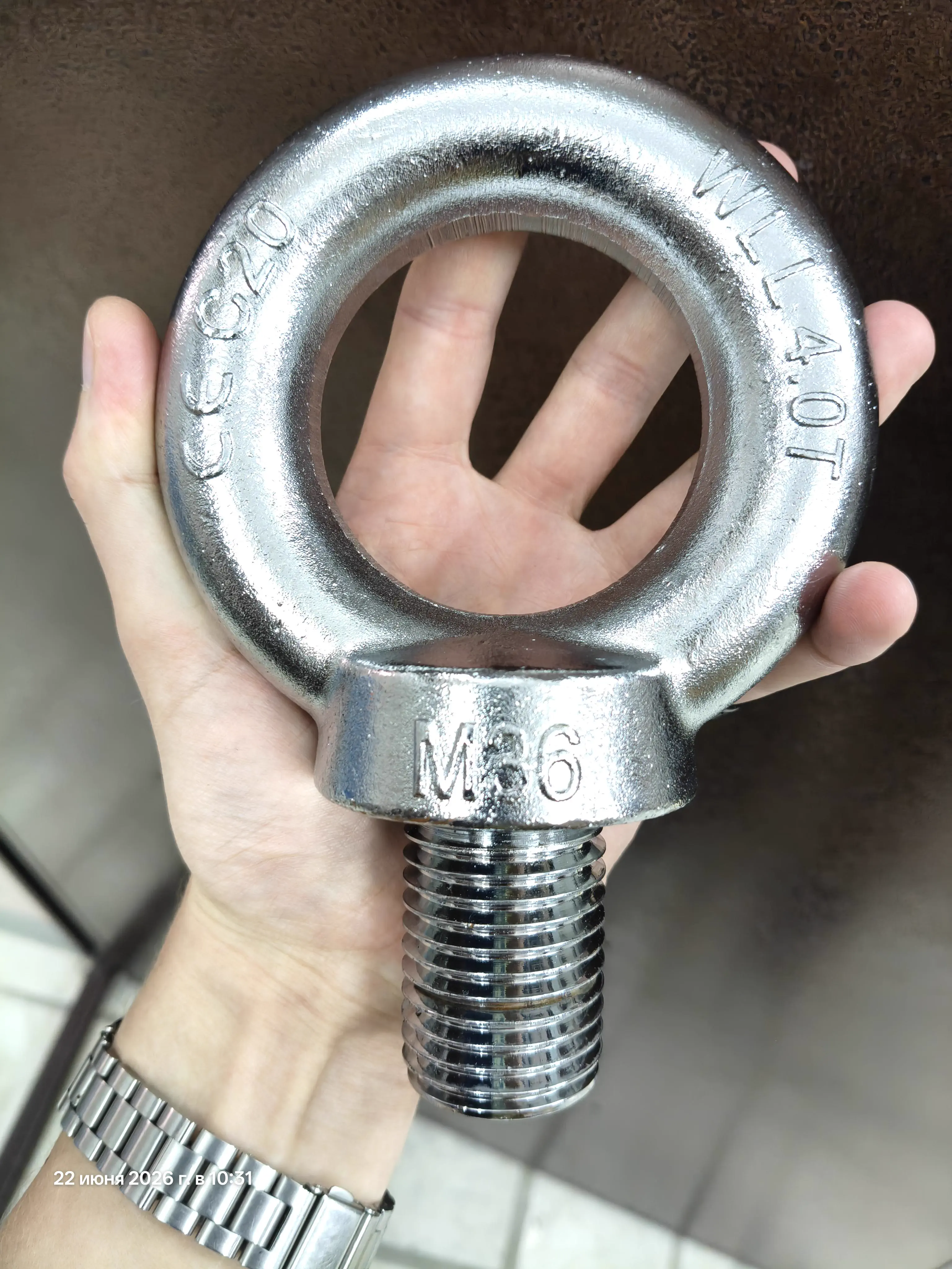 PUNCH: 9 Giants That Made Us Question Reality 19 Oversized industrial ring bolt