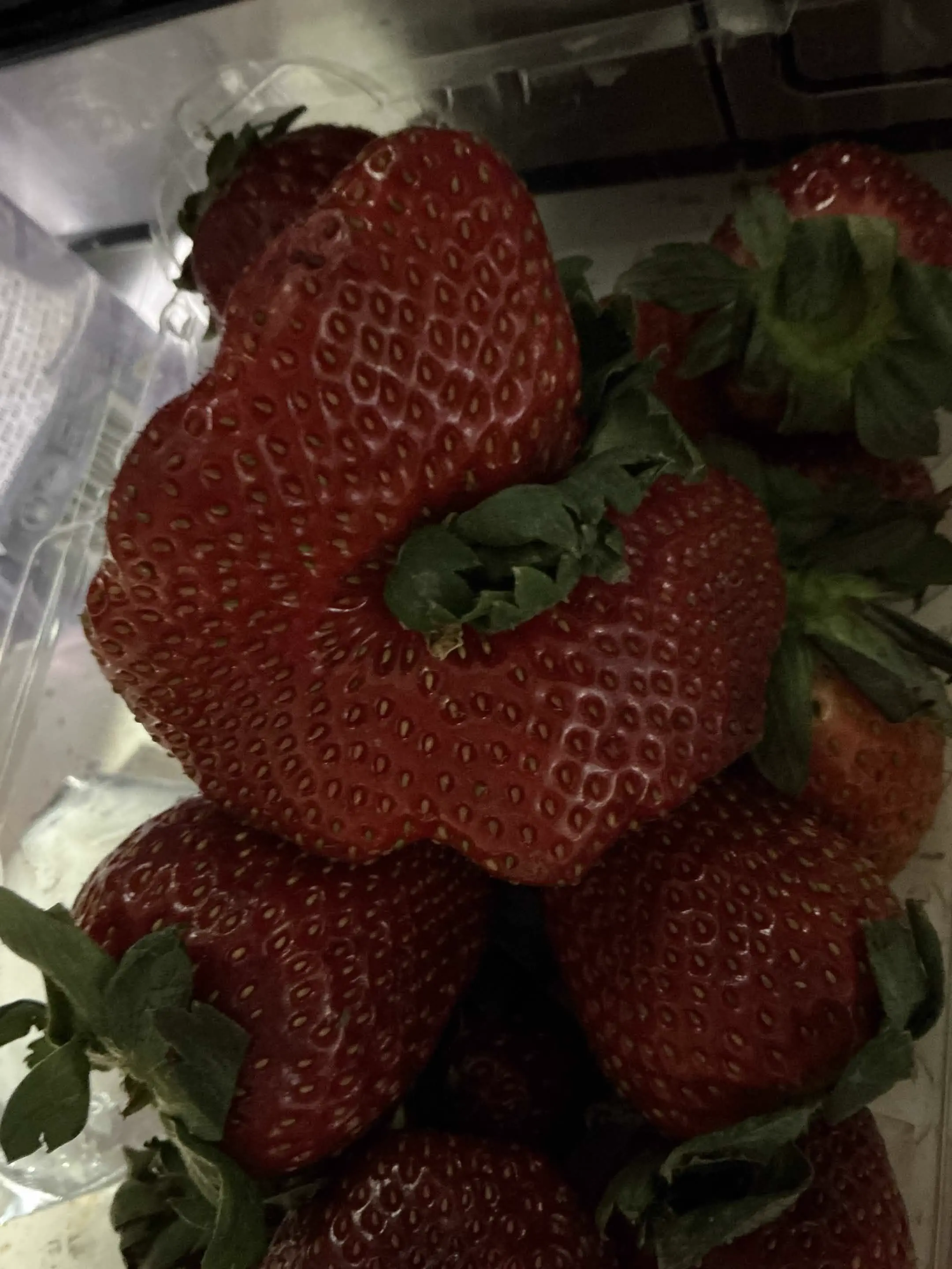 9 Everyday Things That Went Absolutely Feral 🫣 14 Giant strawberry that is an absolute unit