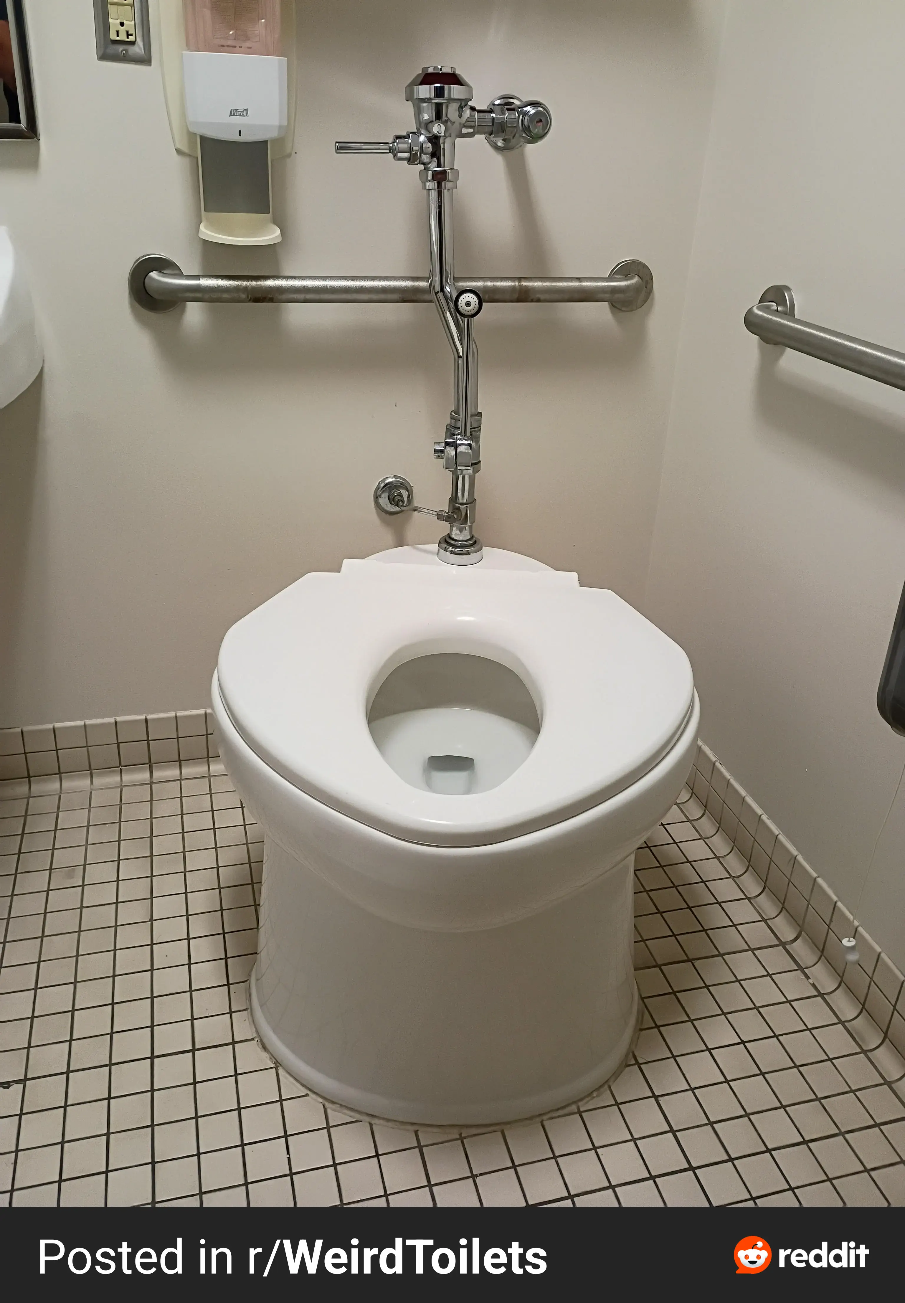 PUNCH: 8 Giants That Made Reality Feel Bugged đ« 11 An unusually massive toilet