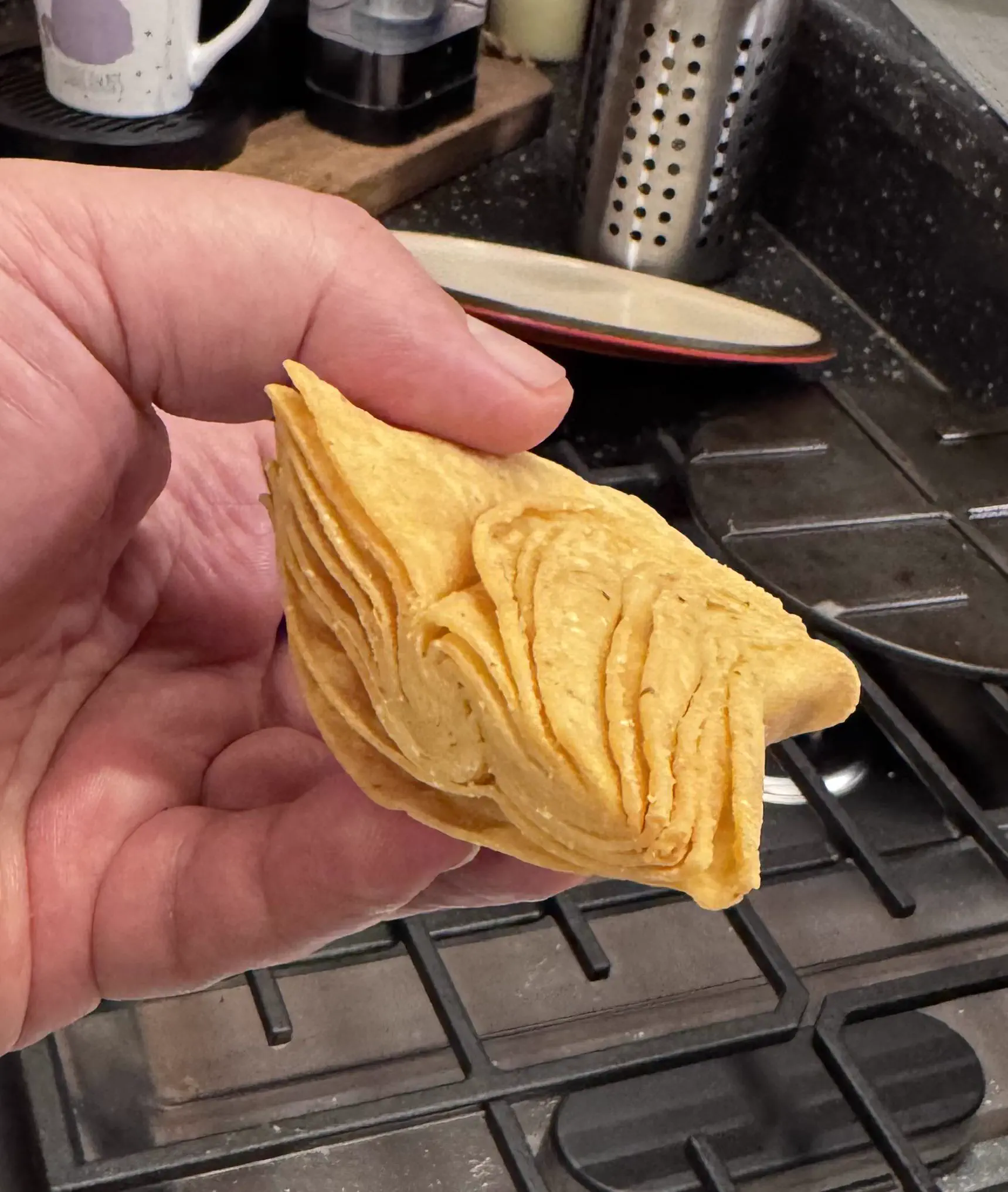 Why Are These 11 Things So Absurdly Oversized? đ« 18 Giant tortilla chip compared to normal-sized chips