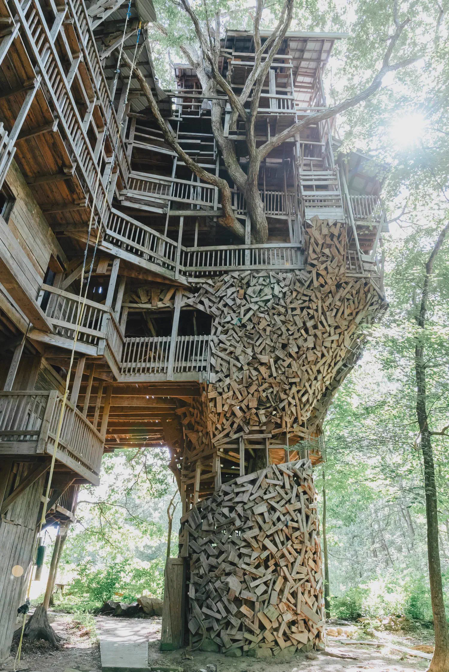 8 Giants That Made Us Physically Recoil 𫣠14 Absolute Units of a Tree house