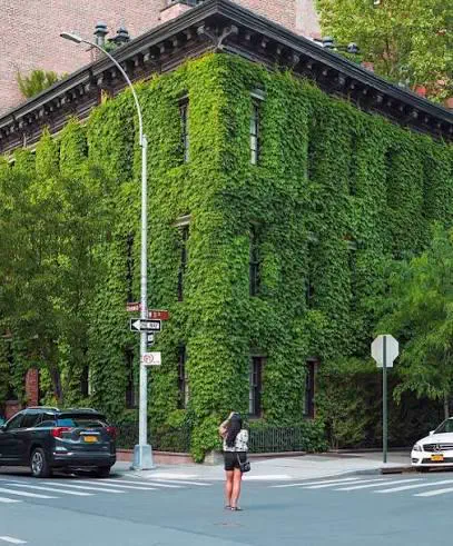 8 Oversized Finds That Left Us Speechless đ« 17 Building completely covered in massive ivy growth from ground to roof