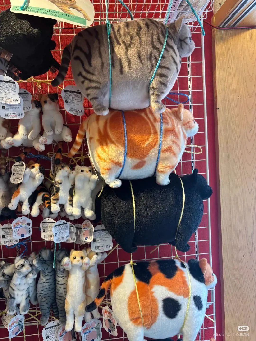 PUNCH: 13 Giants That Made Reality Hit Different đ« 26 Massive chonky cat