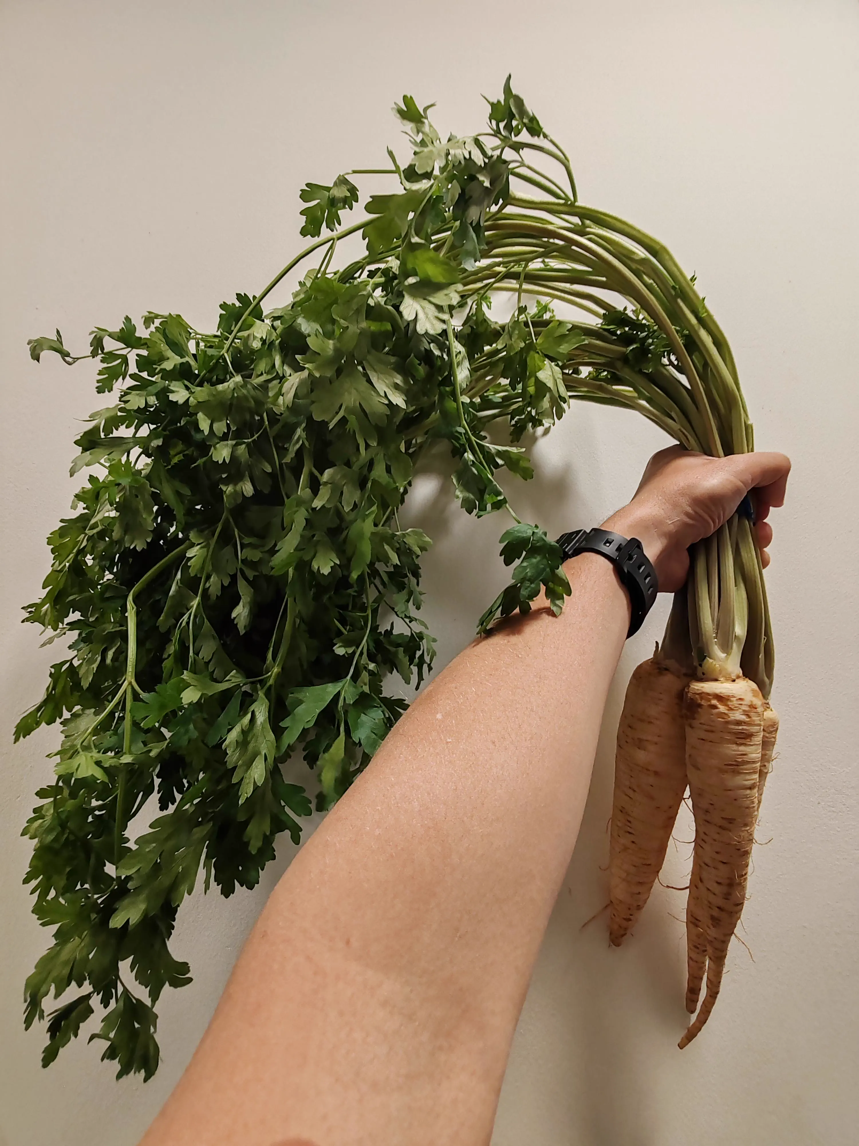 12 Oversized Things That Broke Our Brains This Week đ§ 17 Absolute Units of parsley