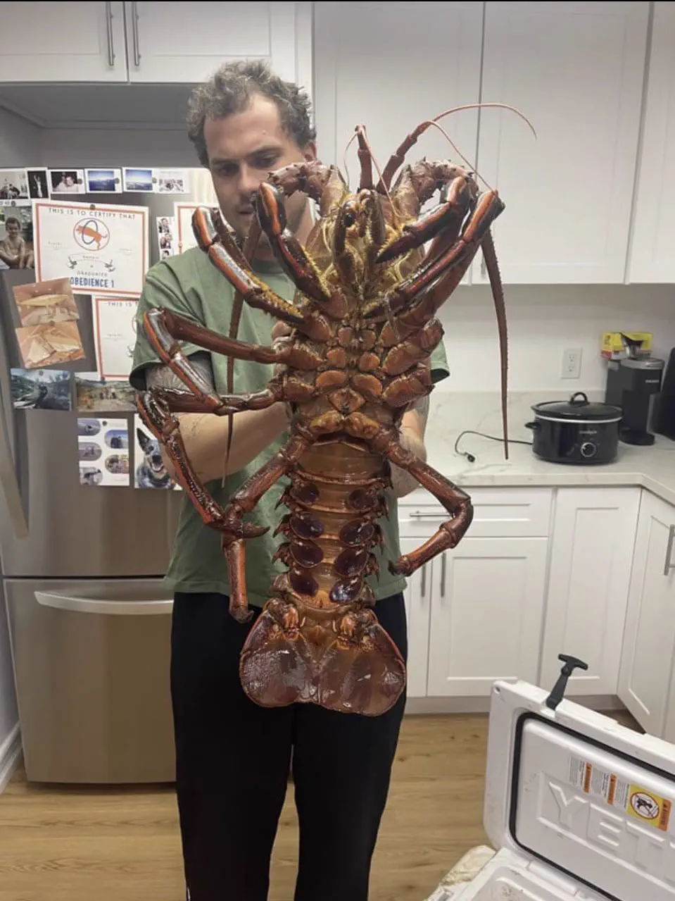 7 Big Boys Who Stole Our Hearts With Maximum Chaos 15 A giant lobster with massive claws and an imposing shell