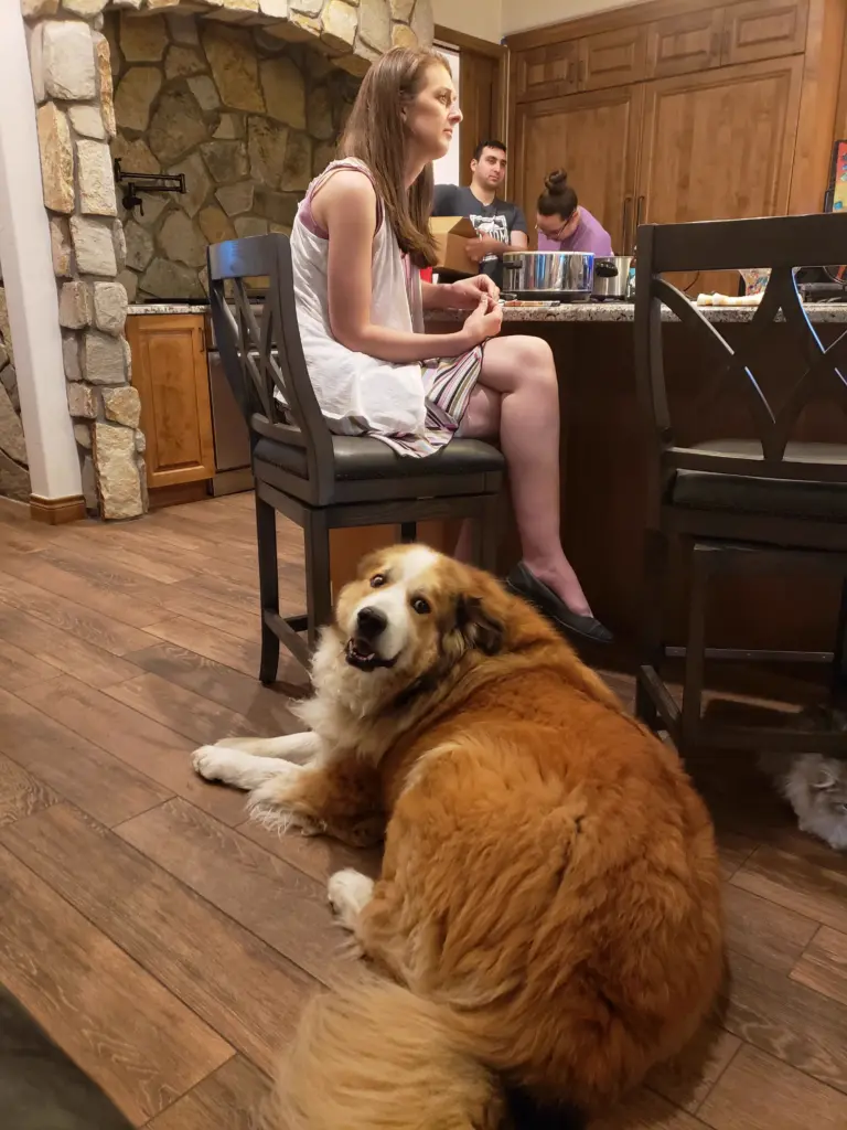 10 Colossal Finds That Have No Business Existing 🫣 12 absolute units this unit i ran into