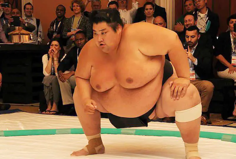 We Found 10 Oversized Wonders That Defy All Logic 🤯 20 absolute units worlds heaviest sumo wrestler 600 pounds 64 who goes by the name yama