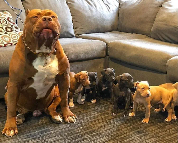 Wait Till You See These 10 Wonders Built Different đ€Ż 12 absolute units daddy with his kids