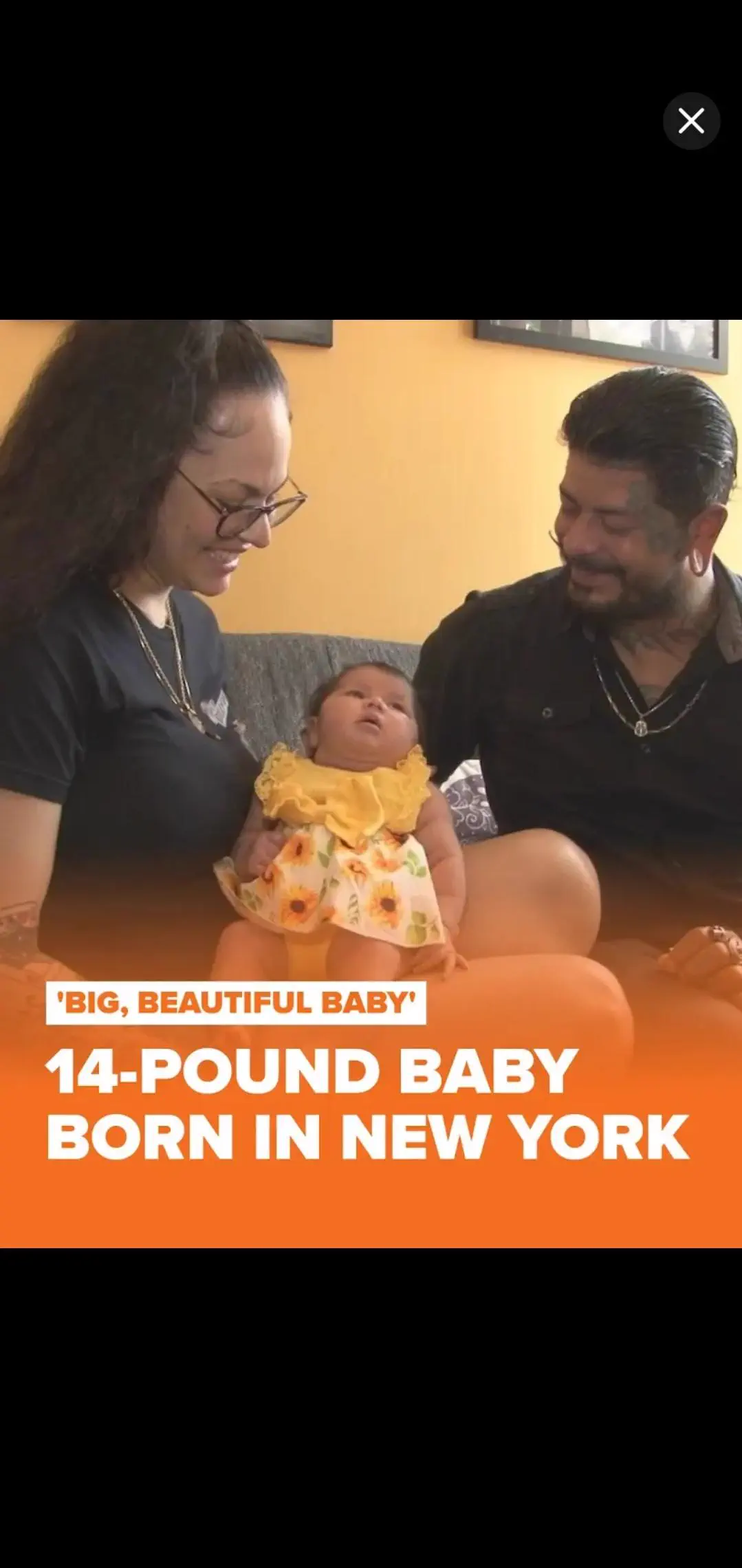 QUESTION: Why Are These 8 Absolute Units So Massive? đ« 14 A remarkably large and chonky baby