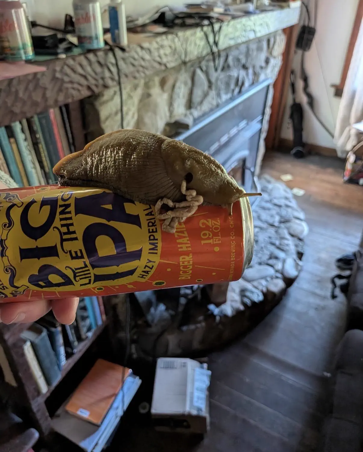 PUNCH: 7 Giants That Made Reality Question Everything 13 A huge yellow banana slug stretching across the ground