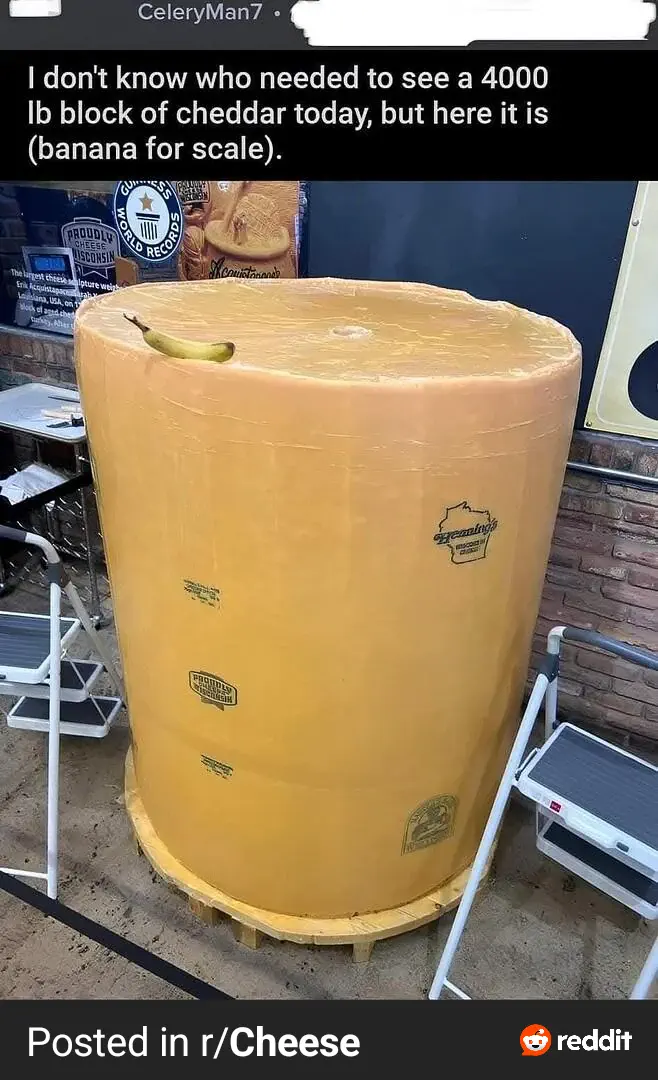 The 8 Most Colossal Units Ever Spotted Online đ« 15 A huge cheese wheel that looks like an edible boulder