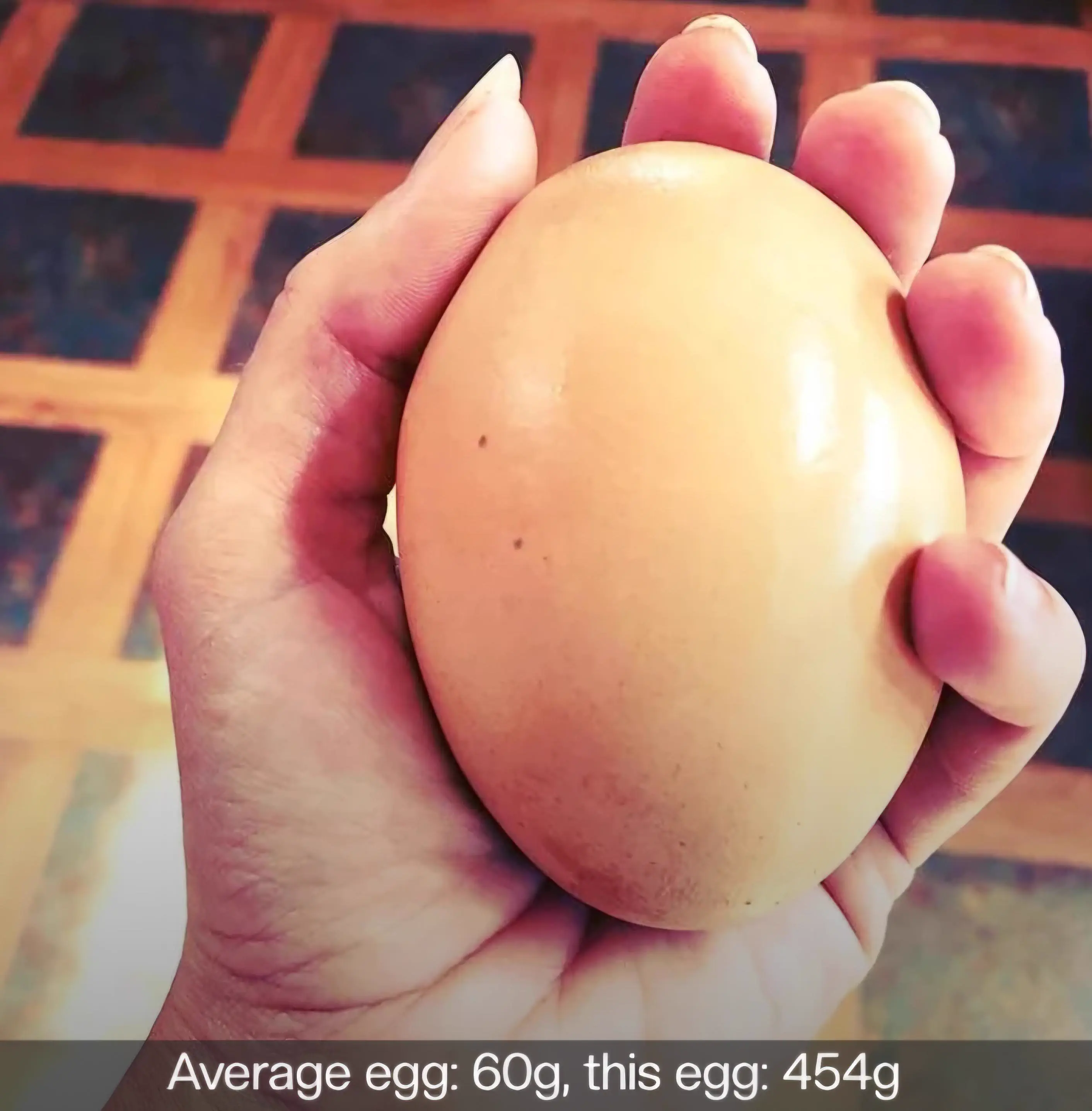 RANKING: The 14 Chonkiest Wonders Ever Documented 🫠 19 Giant chicken egg