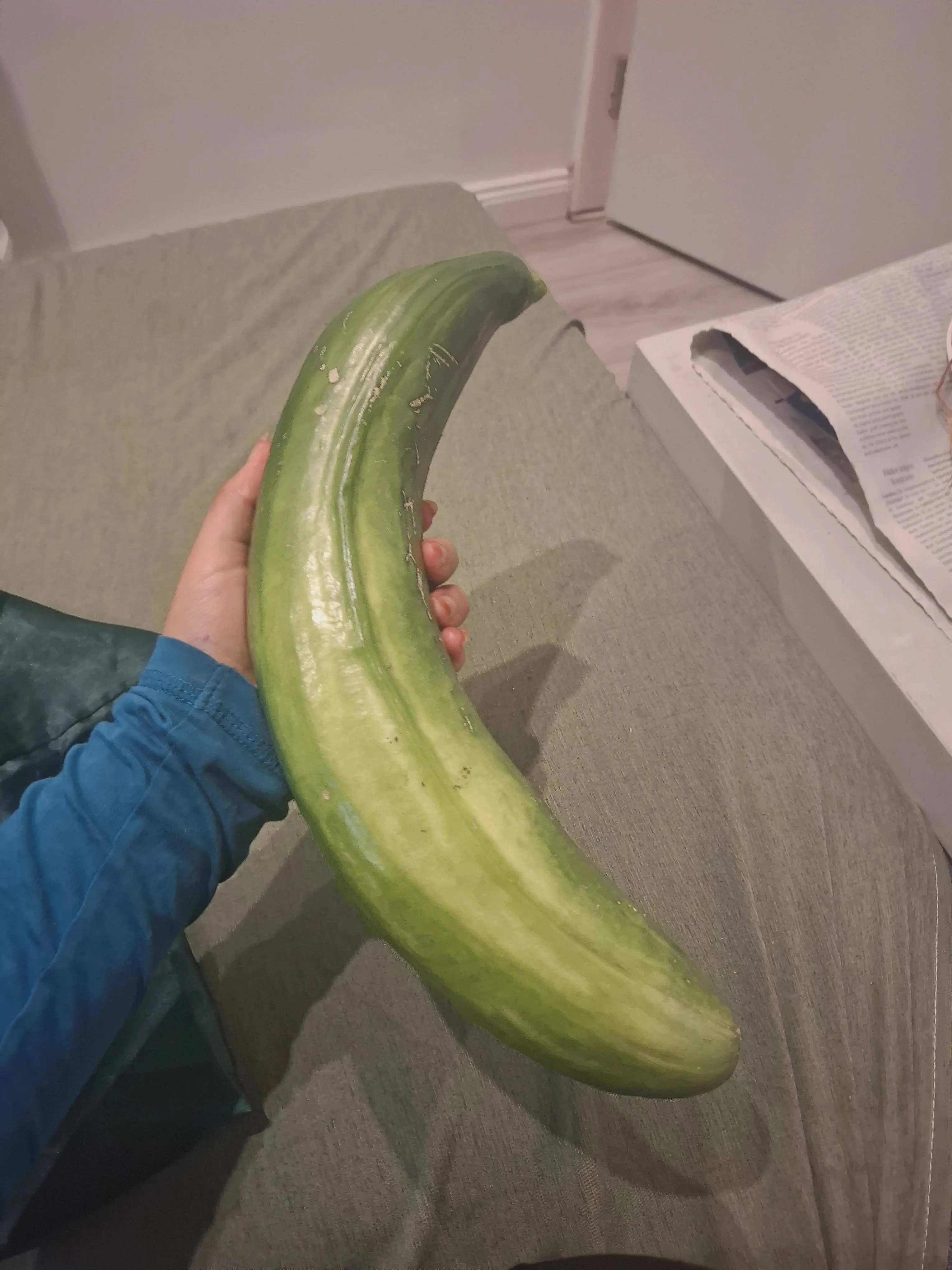We Found 9 Things That Defy Logic and Shatter Scale 🤯 16 A gigantic cucumber that dwarfs ordinary produce