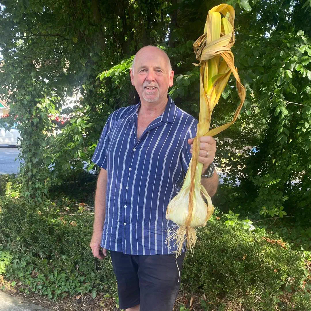 Wait Till You See These 10 Wonders Built Different đ€Ż 20 Massive 1.75 kilogram garlic head