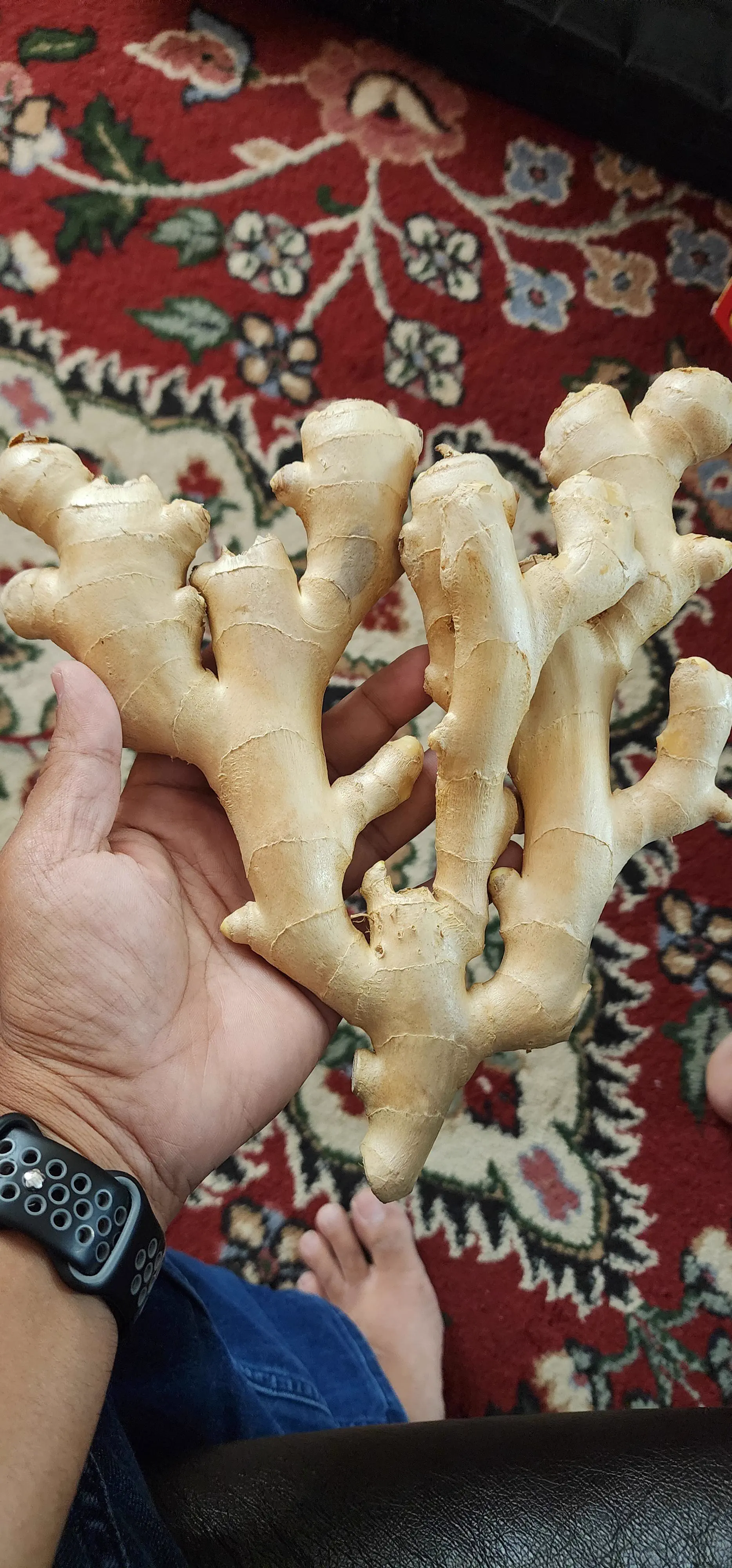 The 10 Most Enormous Absolute Units Online Right Now đ« 19 Absolute Units of a Ginger