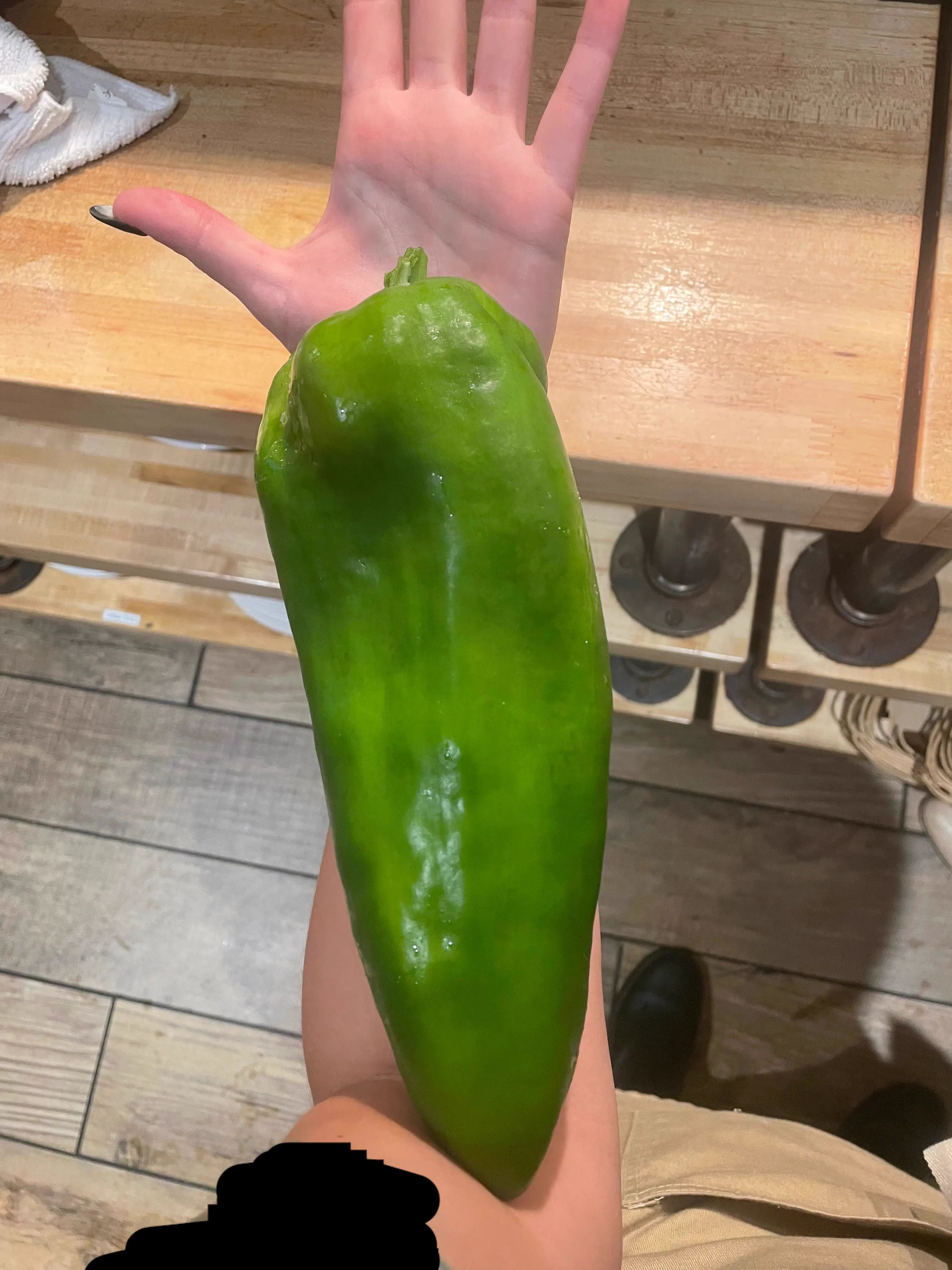 We Found 9 Things That Defy Logic in Giant Mode 12 Giant oversized green pepper
