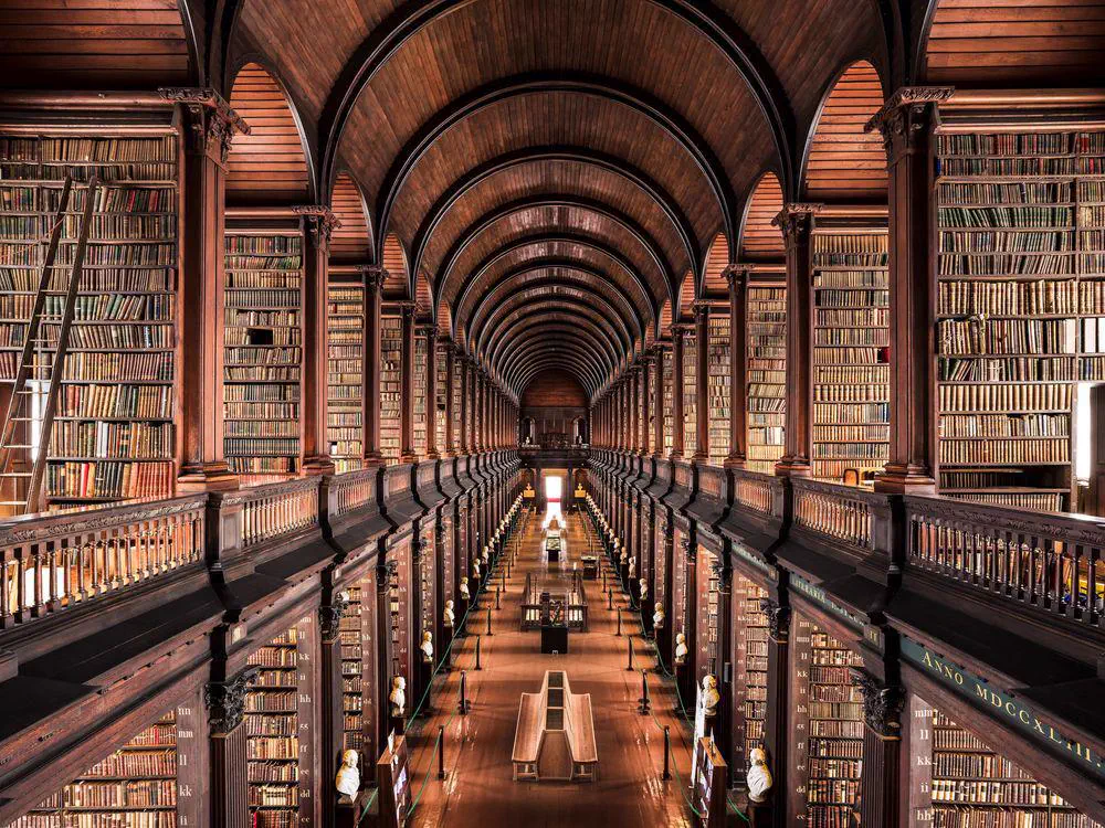 The 6 Most Enormous Absolute Units Spotted Online 🤯 11 Absolute Units of a Library