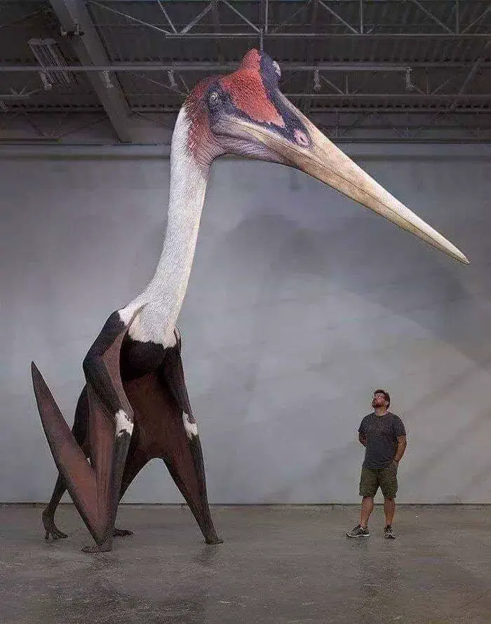 Wait Till You See These 10 Wonders Built Different đ€Ż 22 Quetzalcoatlus pterosaur with a 35 foot wingspan