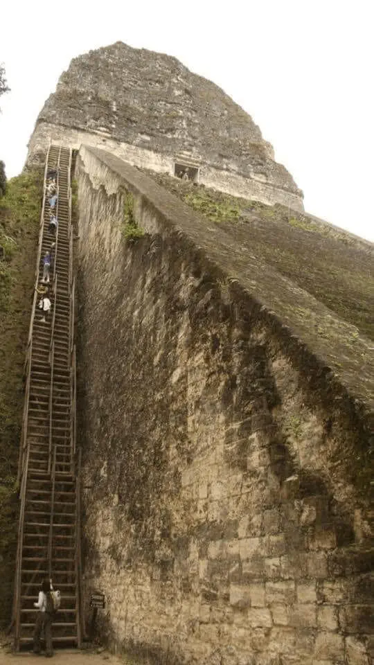 RANKING: The 10 Chonkiest Units Ever Documented đ« 20 Absolute Units of a Staircase