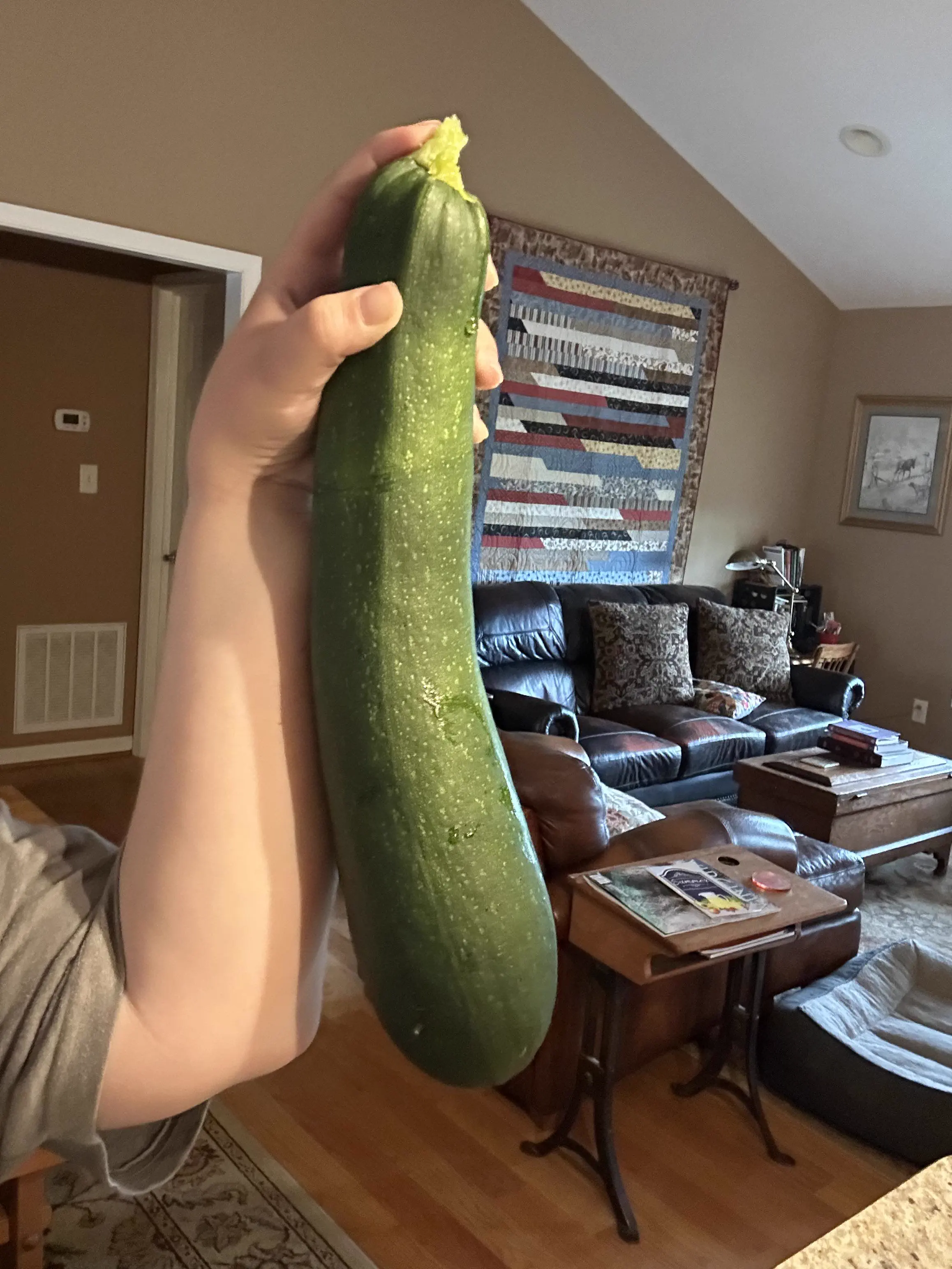 RANKING: The 14 Chonkiest Wonders Ever Documented 🫠 27 Giant zucchini