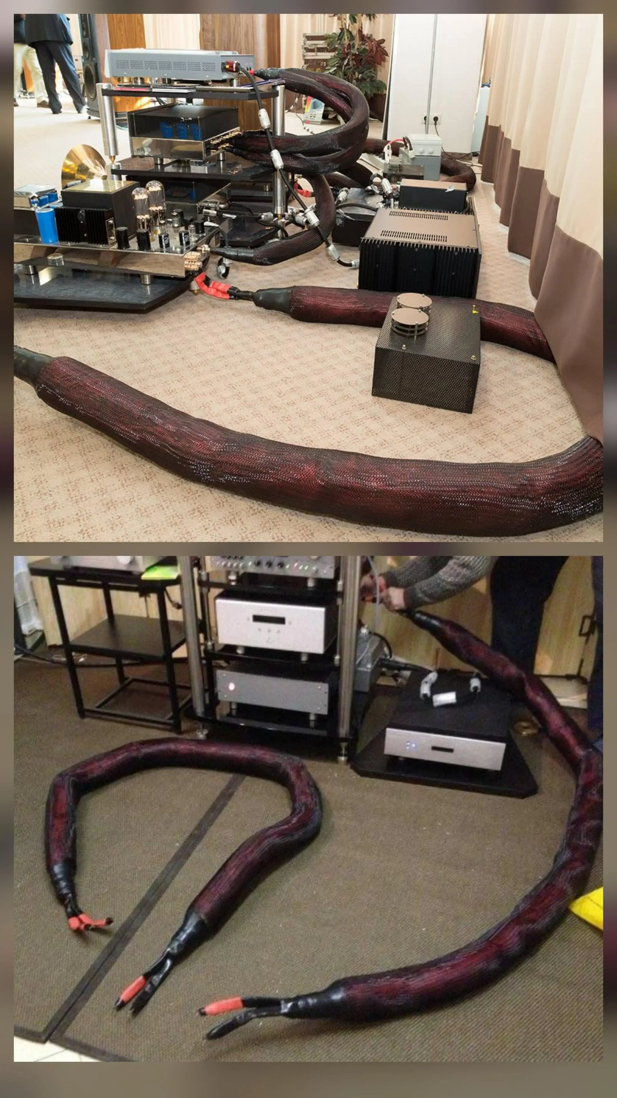 We Found 9 Things That Defy Logic and Scale Itself đ€Ż 16 Absolute Units of an audio cable
