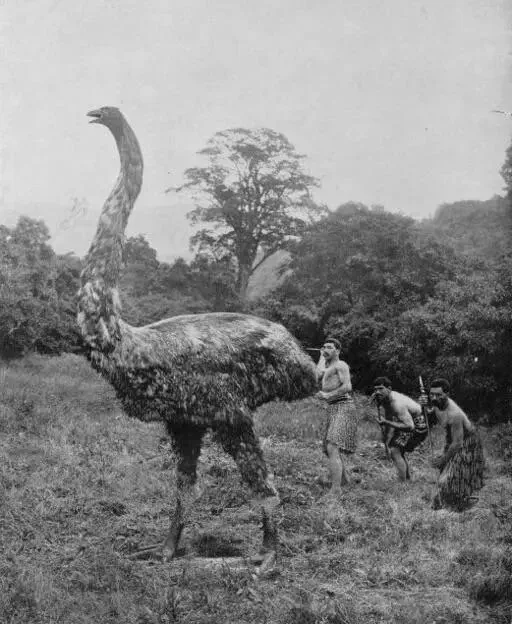 We Found 9 Things That Defy Logic and Shatter Scale 🤯 15 Oversized birds standing together as absolute units