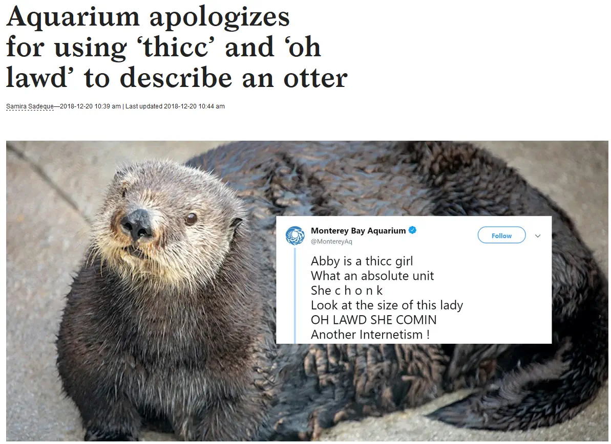We Found 8 Absolute Units That Defy All Logic 🤯 12 Absolute Units why would you apologize for accurately describing an absolute UNIT
