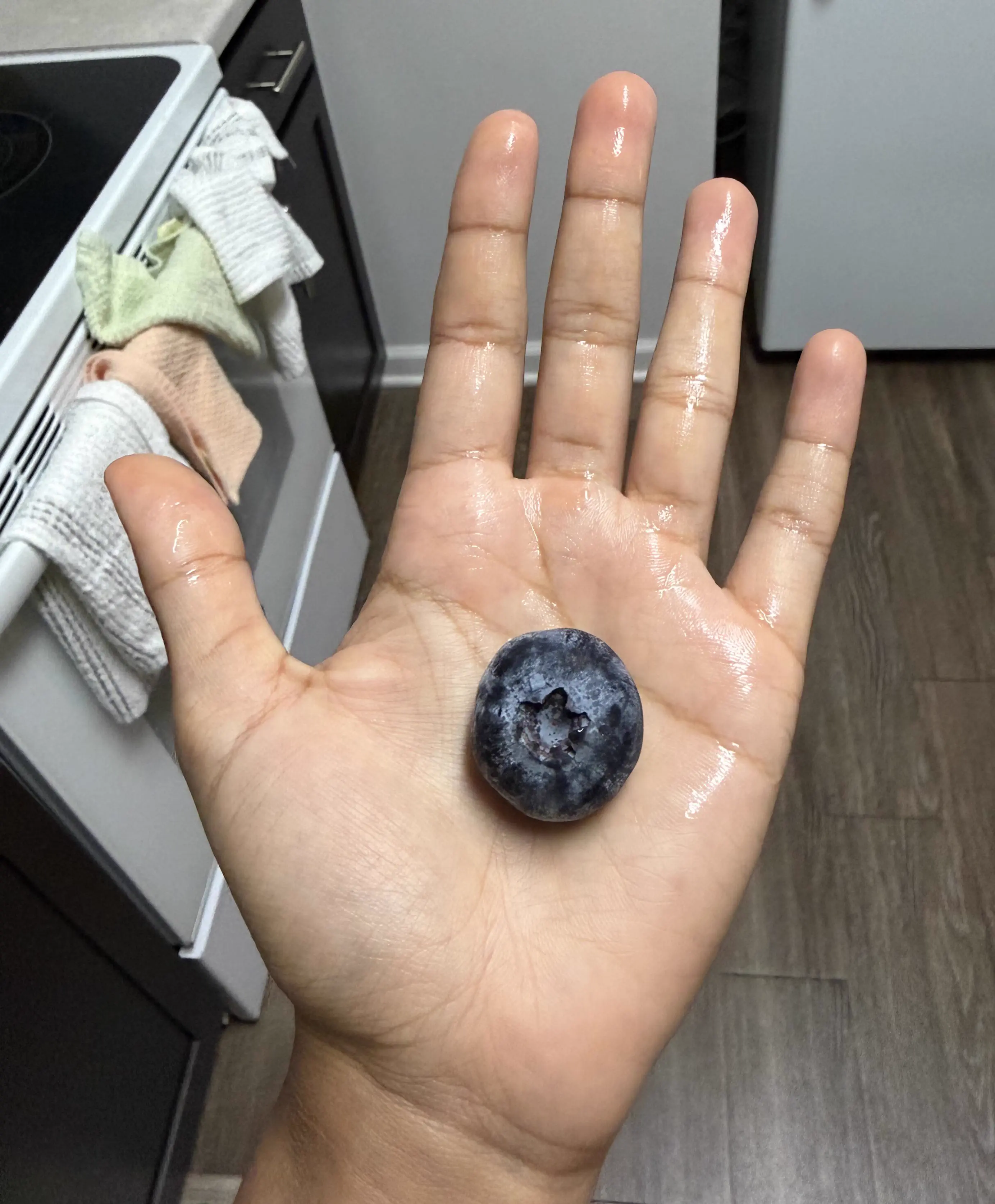 8 Mundane Things That Mutated Into Pure Chaos đ« 11 Absolute Units of a blueberry