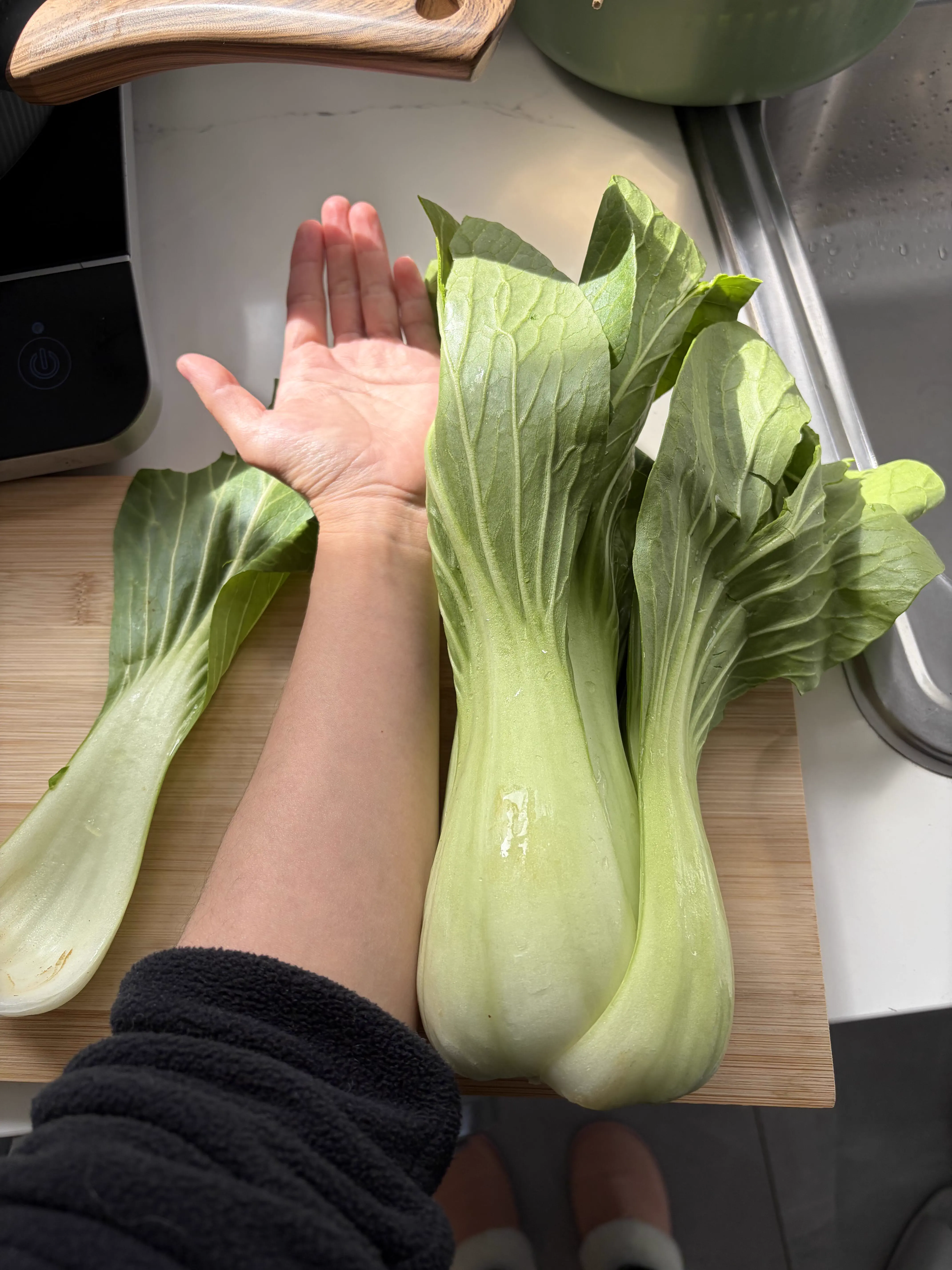 8 Mundane Things That Mutated Into Pure Chaos đ« 13 Absolute Units of a bok choy