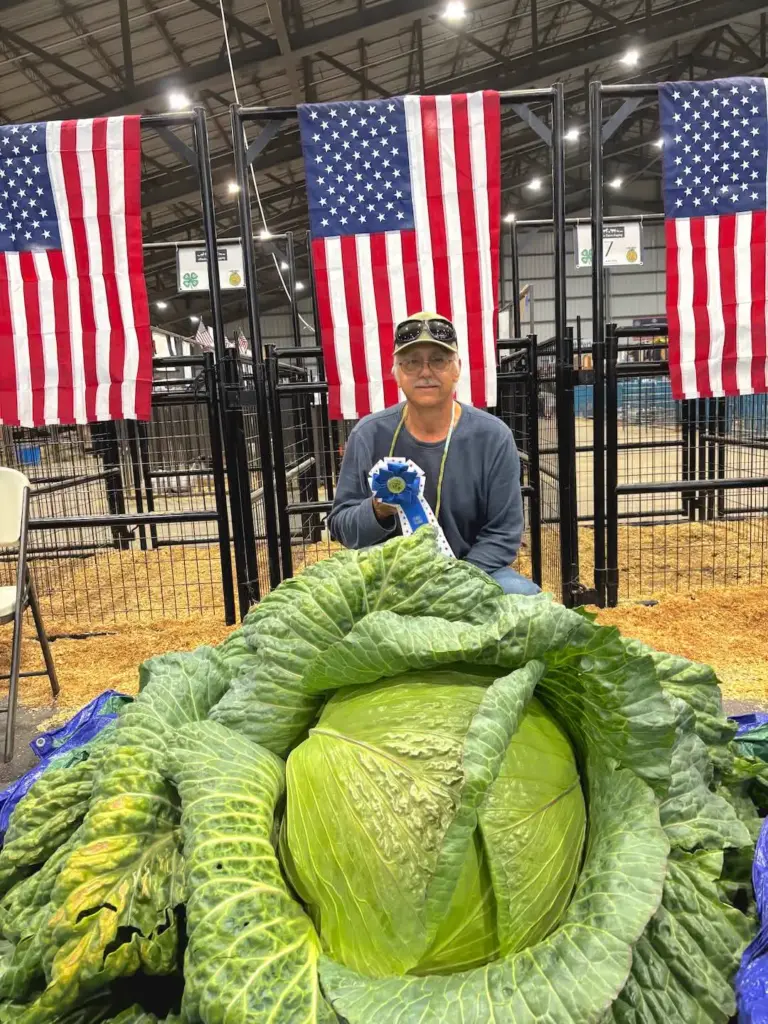 11 Oversized Legends That Rewrote the Rulebook 🫠 23 absolute units of a cabbage