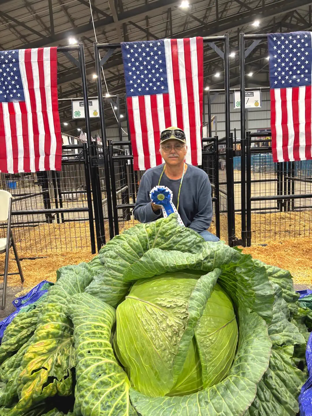 11 Oversized Legends That Rewrote the Rulebook đ« 13 Absolute Units of a cabbage